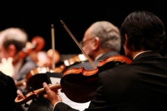 cropped-orchestra-g049299dcc_1920